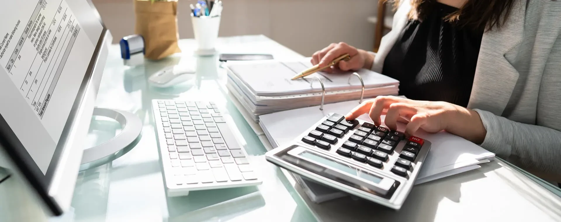 Contador en Neuquén Servicios online